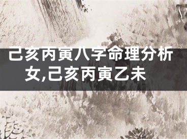 己亥丙寅八字命理分析女,己亥丙寅乙未