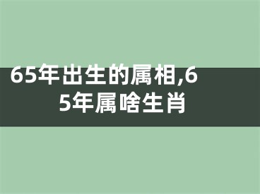 65年出生的属相,65年属啥生肖
