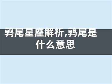 鹑尾星座解析,鹑尾是什么意思