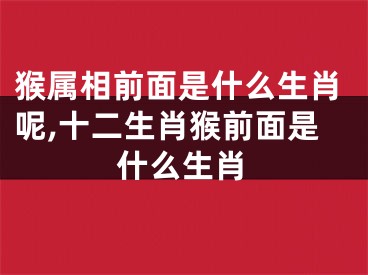 猴属相前面是什么生肖呢,十二生肖猴前面是什么生肖