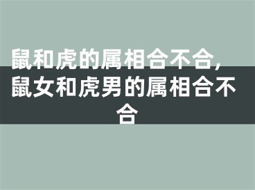 鼠和虎的属相合不合,鼠女和虎男的属相合不合