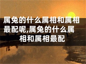 属兔的什么属相和属相最配呢,属兔的什么属相和属相最配