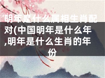 明年是什么属相生肖配对(中国明年是什么年,明年是什么生肖的年份