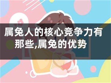 属兔人的核心竞争力有那些,属兔的优势
