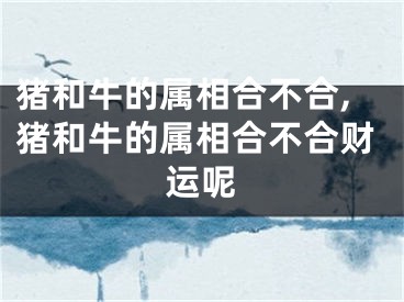 猪和牛的属相合不合,猪和牛的属相合不合财运呢