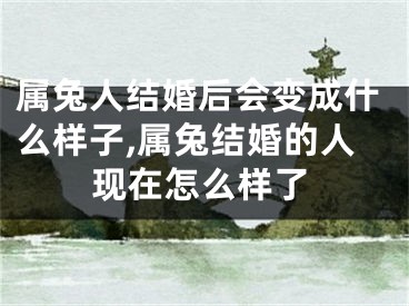 属兔人结婚后会变成什么样子,属兔结婚的人现在怎么样了