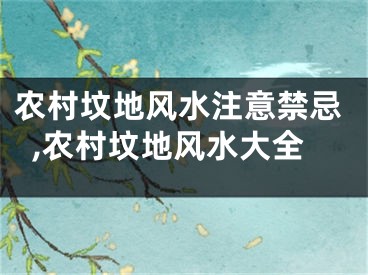 农村坟地风水注意禁忌,农村坟地风水大全