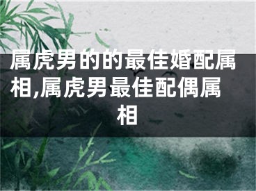 属虎男的的最佳婚配属相,属虎男最佳配偶属相