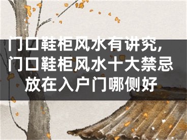 门口鞋柜风水有讲究,门口鞋柜风水十大禁忌放在入户门哪侧好
