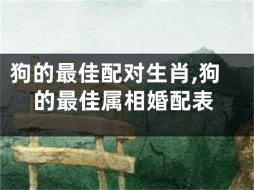狗的最佳配对生肖,狗的最佳属相婚配表
