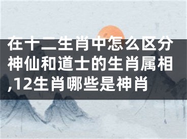 在十二生肖中怎么区分神仙和道士的生肖属相,12生肖哪些是神肖