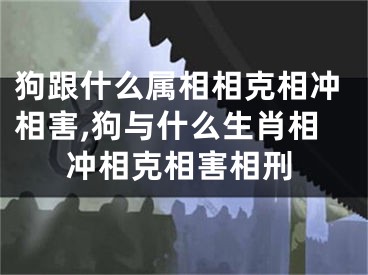 狗跟什么属相相克相冲相害,狗与什么生肖相冲相克相害相刑