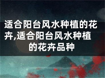 适合阳台风水种植的花卉,适合阳台风水种植的花卉品种