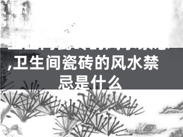 卫生间瓷砖的风水禁忌,卫生间瓷砖的风水禁忌是什么