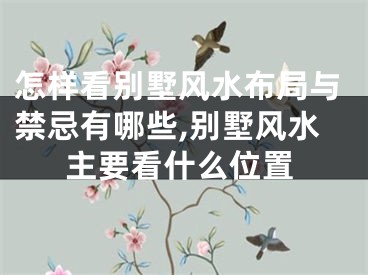 怎样看别墅风水布局与禁忌有哪些,别墅风水主要看什么位置