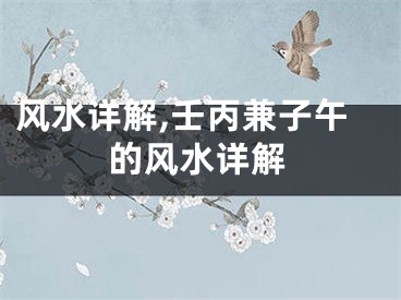 风水详解,壬丙兼子午的风水详解