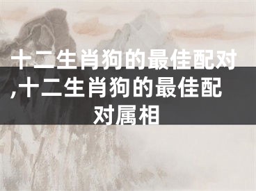 十二生肖狗的最佳配对,十二生肖狗的最佳配对属相