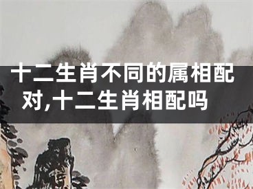 十二生肖不同的属相配对,十二生肖相配吗