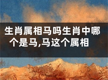 生肖属相马吗生肖中哪个是马,马这个属相