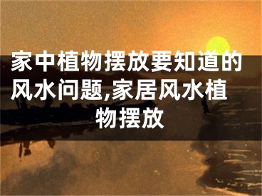 家中植物摆放要知道的风水问题,家居风水植物摆放