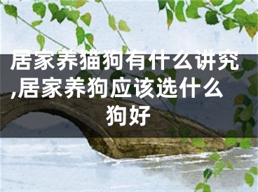 居家养猫狗有什么讲究,居家养狗应该选什么狗好