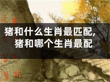 猪和什么生肖最匹配,猪和哪个生肖最配