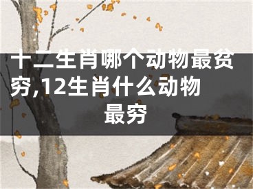 十二生肖哪个动物最贫穷,12生肖什么动物最穷