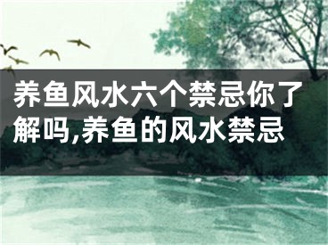 养鱼风水六个禁忌你了解吗,养鱼的风水禁忌