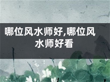 哪位风水师好,哪位风水师好看