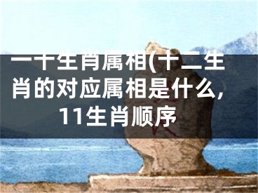 一十生肖属相(十二生肖的对应属相是什么,11生肖顺序