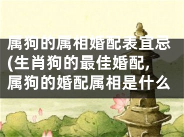 属狗的属相婚配表宜忌(生肖狗的最佳婚配,属狗的婚配属相是什么