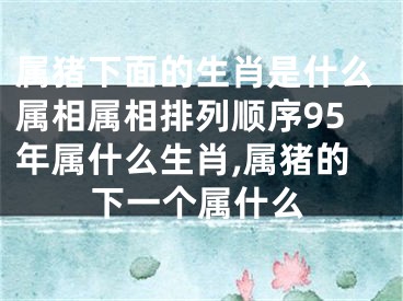 属猪下面的生肖是什么属相属相排列顺序95年属什么生肖,属猪的下一个属什么