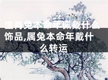 生肖兔本命年佩戴什么饰品,属兔本命年戴什么转运