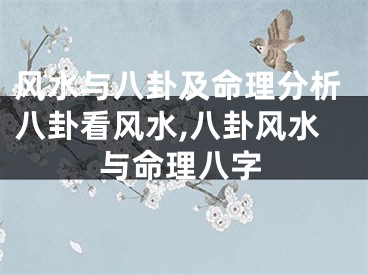风水与八卦及命理分析八卦看风水,八卦风水与命理八字