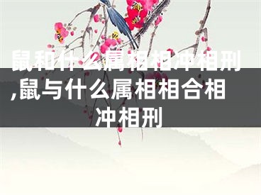 鼠和什么属相相冲相刑,鼠与什么属相相合相冲相刑