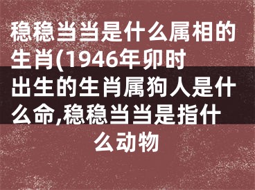 稳稳当当是什么属相的生肖(1946年卯时出生的生肖属狗人是什么命,稳稳当当是指什么动物