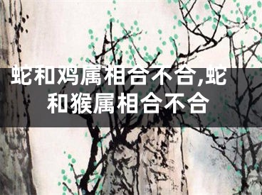 蛇和鸡属相合不合,蛇和猴属相合不合