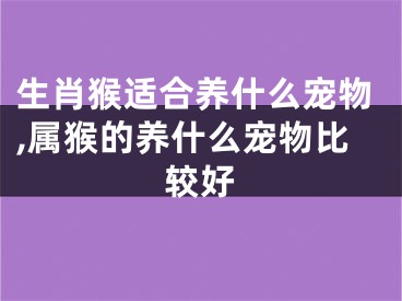 生肖猴适合养什么宠物,属猴的养什么宠物比较好