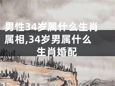 男性34岁属什么生肖属相,34岁男属什么生肖婚配