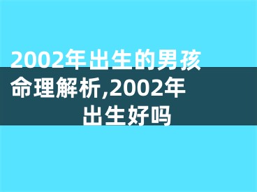 2002年出生的男孩命理解析,2002年出生好吗