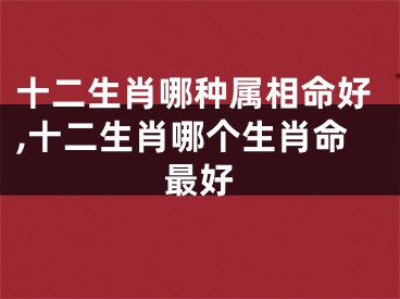 十二生肖哪种属相命好,十二生肖哪个生肖命最好