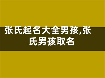 张氏起名大全男孩,张氏男孩取名