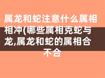 属龙和蛇注意什么属相相冲(哪些属相克蛇与龙,属龙和蛇的属相合不合