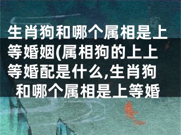 生肖狗和哪个属相是上等婚姻(属相狗的上上等婚配是什么,生肖狗和哪个属相是上等婚