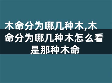 木命分为哪几种木,木命分为哪几种木怎么看是那种木命