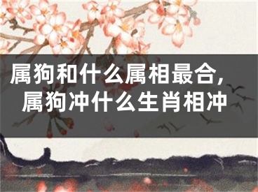 属狗和什么属相最合,属狗冲什么生肖相冲
