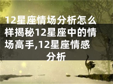 12星座情场分析怎么样揭秘12星座中的情场高手,12星座情感分析