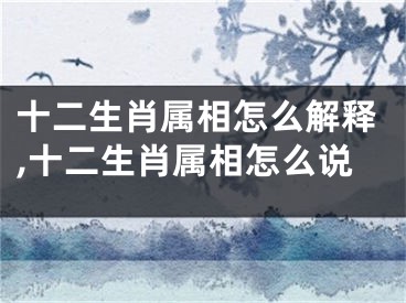 十二生肖属相怎么解释,十二生肖属相怎么说