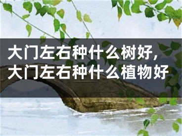 大门左右种什么树好,大门左右种什么植物好