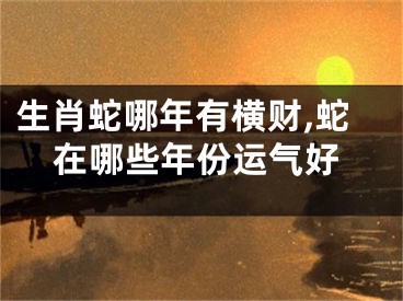 生肖蛇哪年有横财,蛇在哪些年份运气好